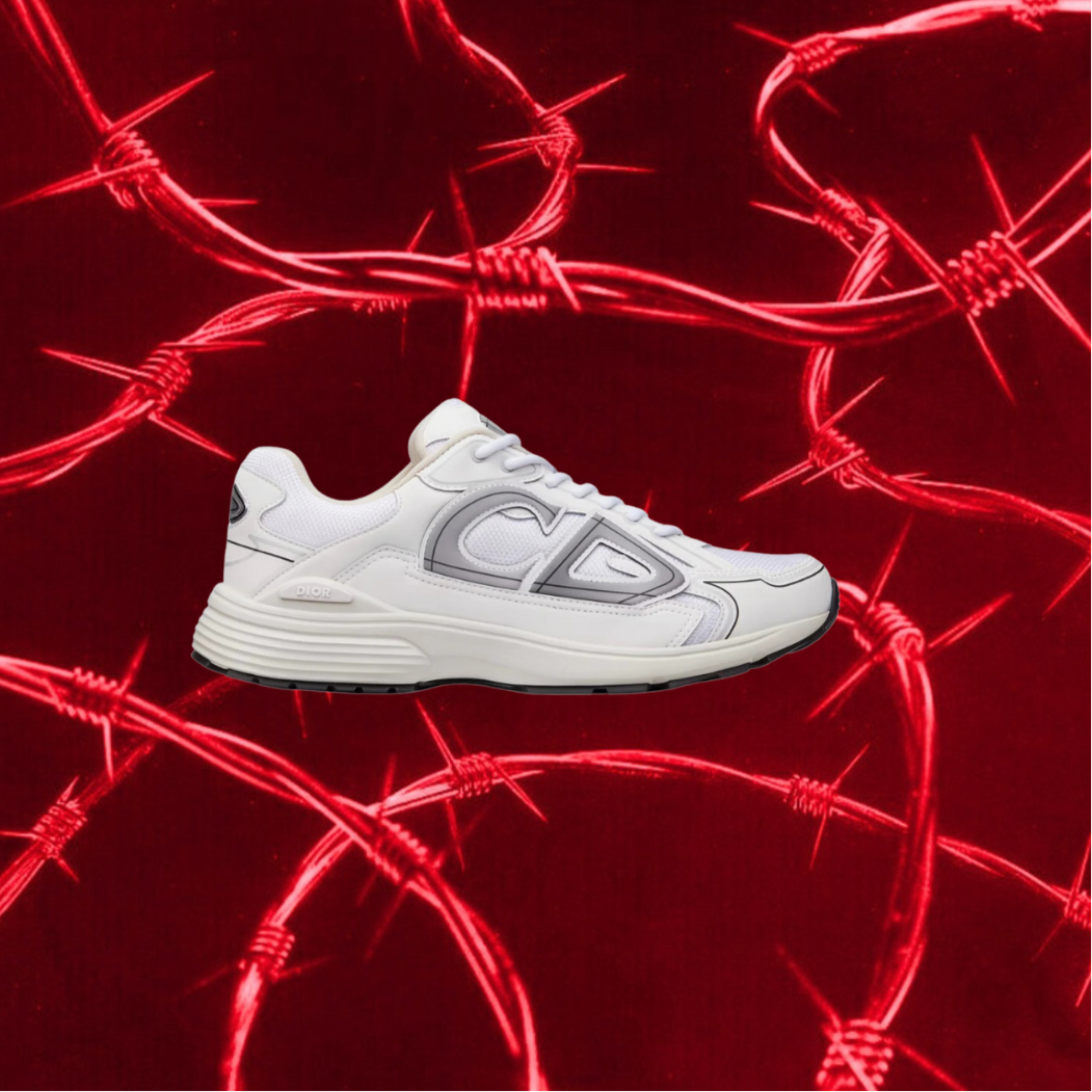 Dior B30 White Reflective