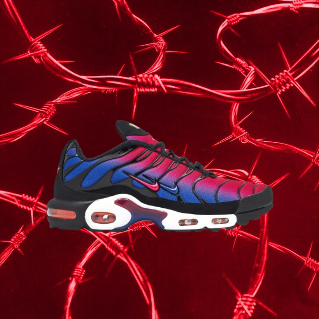 AIR MAX TN PLUS X F.C. BARCELONA X PATTA "Culers del Món"