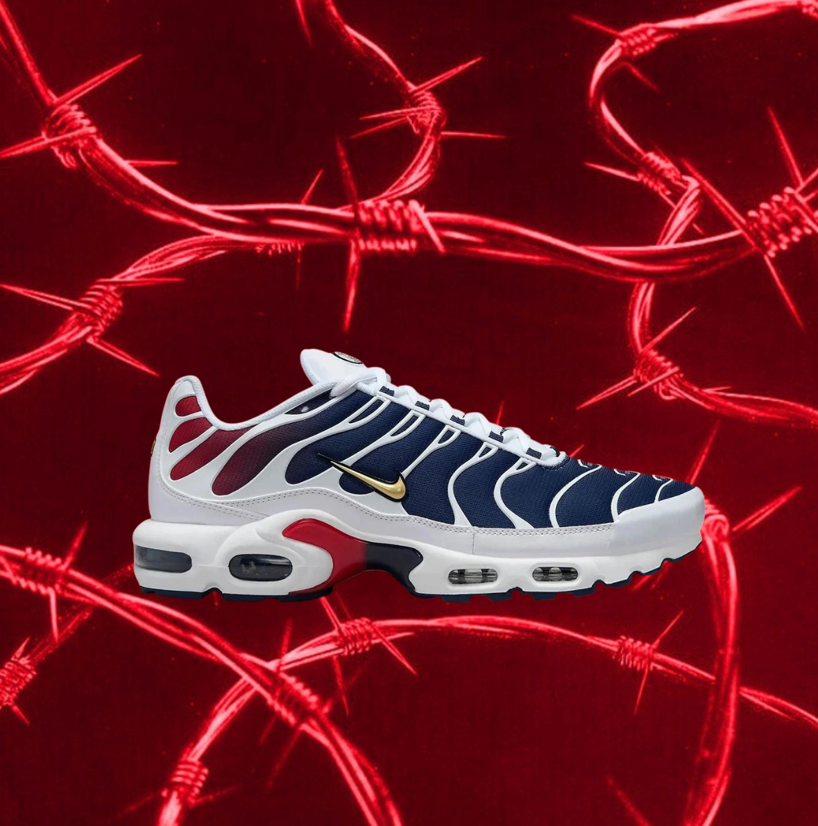 AIR MAX TN PLUS X PSG