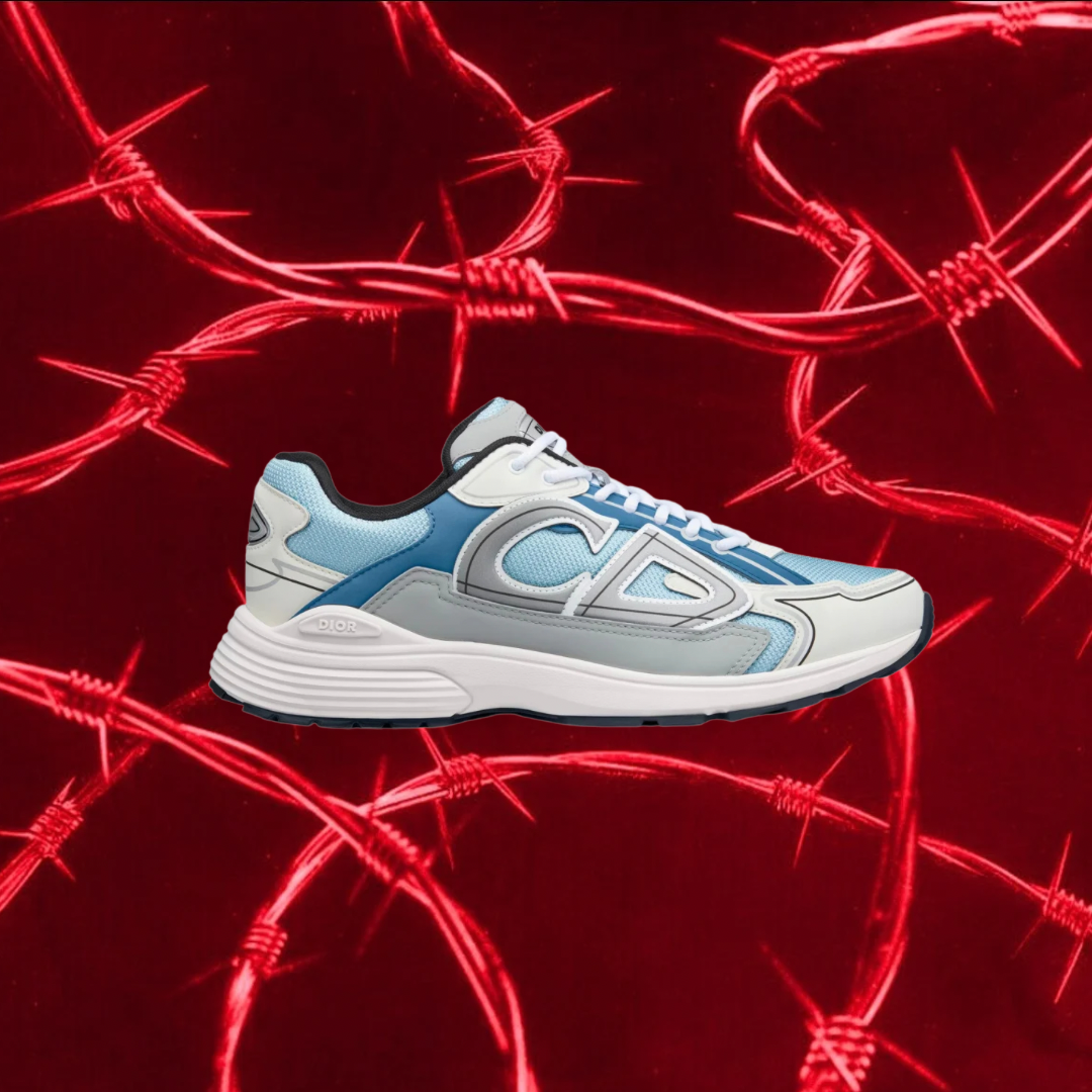 Dior B30 Blue Reflective