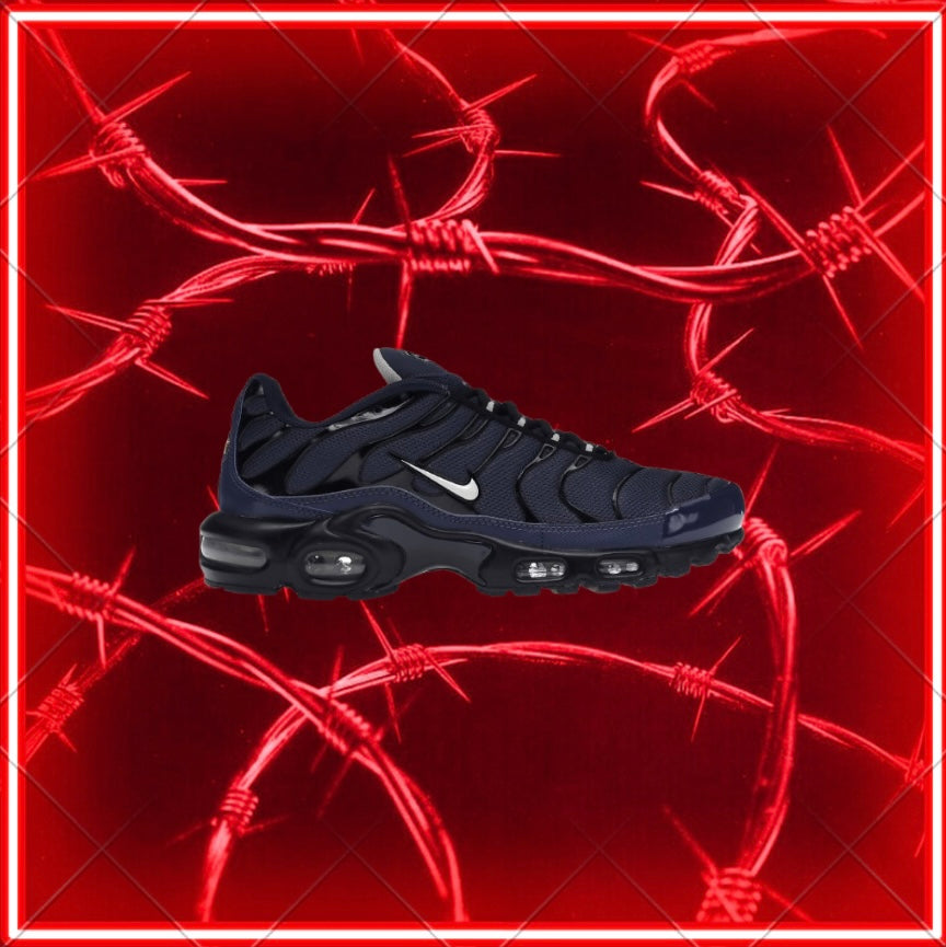 AIR MAX PLUS TN