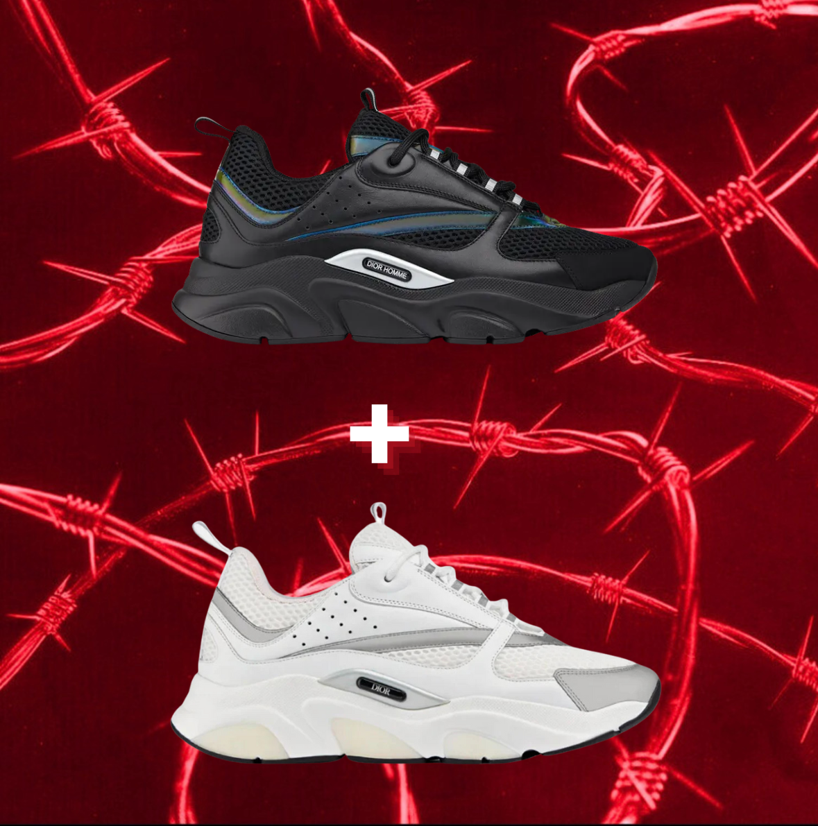 Double Treat Dior b22s