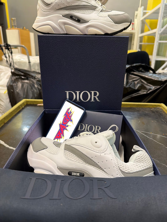 Dior B22 White Reflective