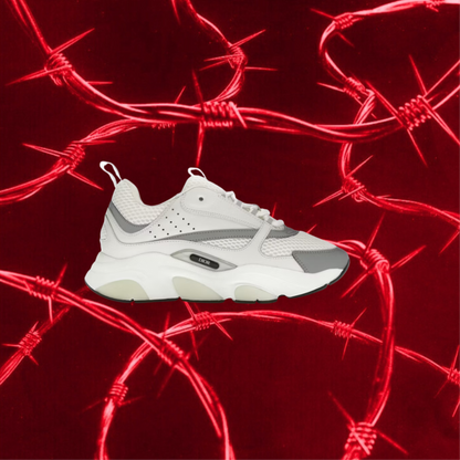 Dior B22 White Reflective